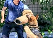 乐动体育在线-训练有素，球员状态亮眼，展现顶尖水准的简单介绍