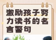 乐动体育全站-职业选手生活并没有那么糟糕，更希望自己孩子追求想要的人生