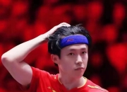 乐动体育-美国大满贯-王楚钦4-0横扫张本智和夺冠国乒三金收官