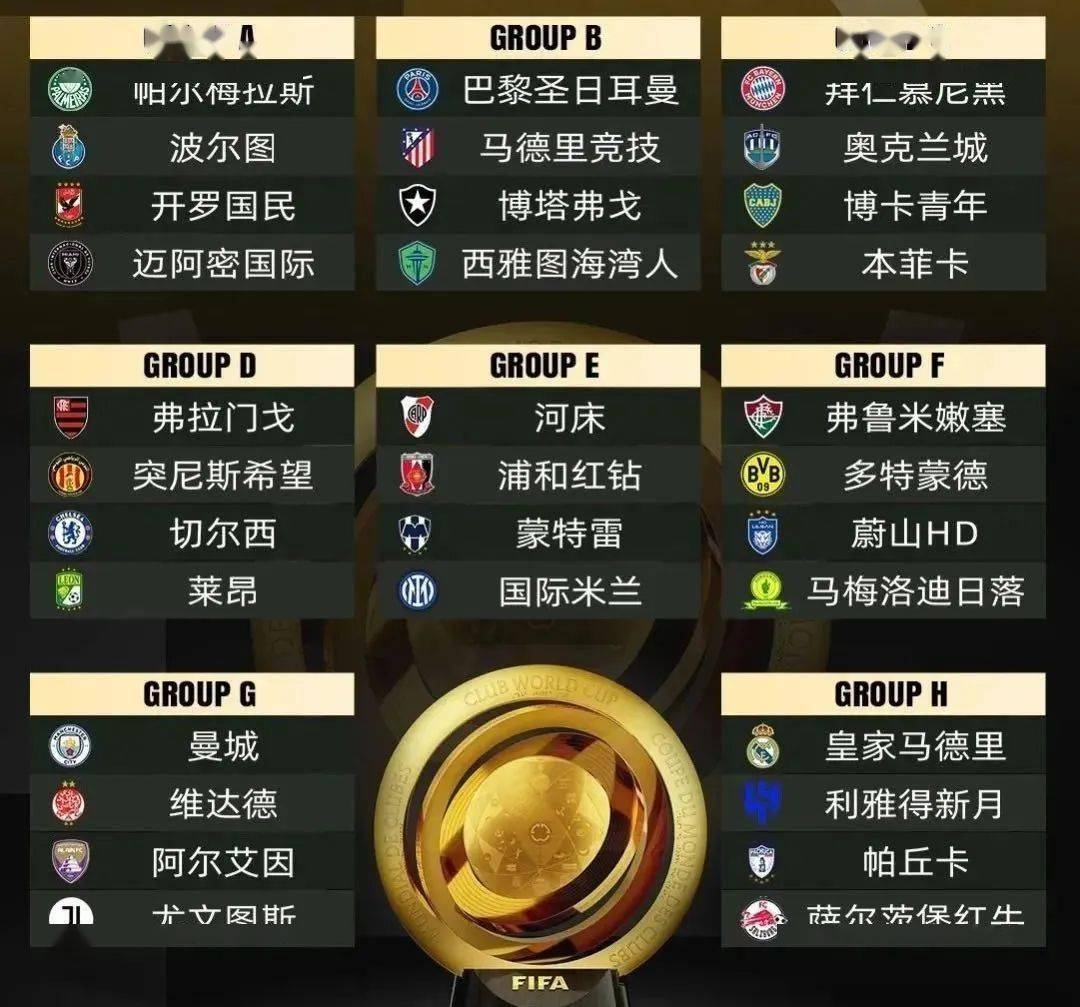 世俱杯比赛场馆全介绍