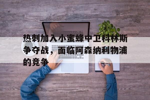 热刺加入小蜜蜂中卫科林斯争夺战，面临阿森纳利物浦的竞争的简单介绍